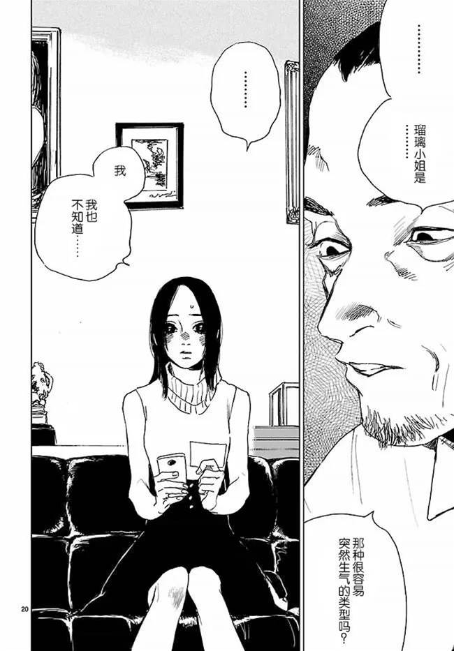 第 20 页