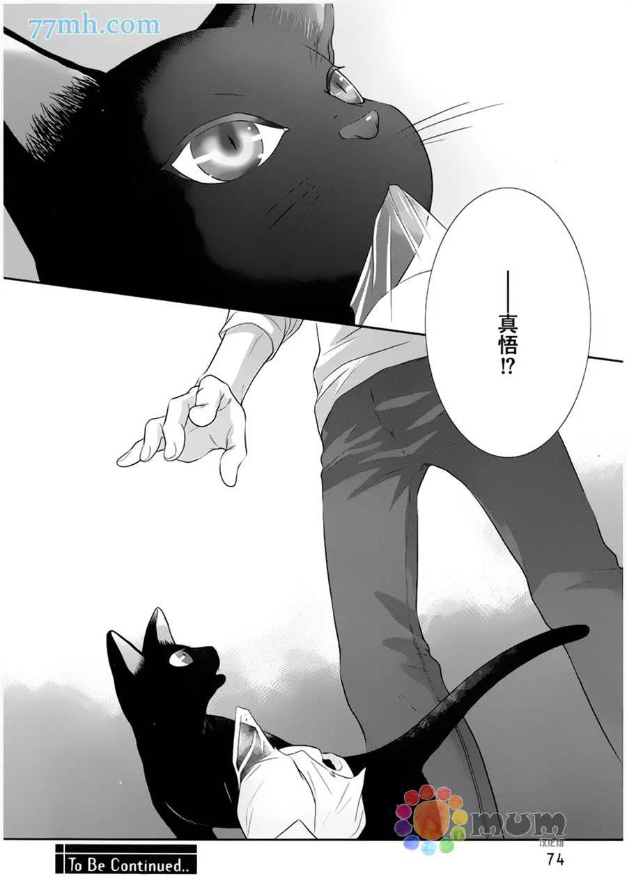 第 30 页