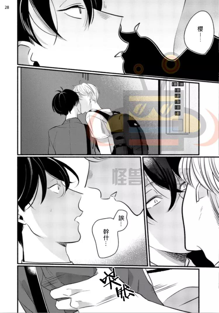 第 28 页