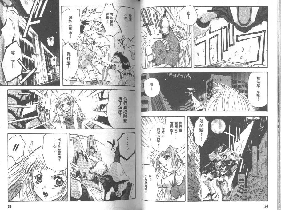 第 29 页