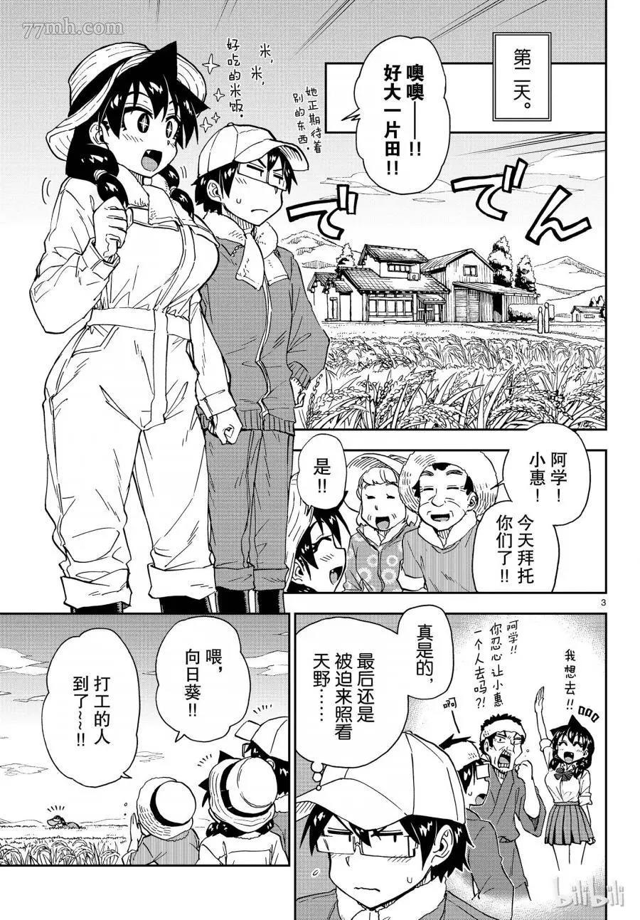 第 3 页