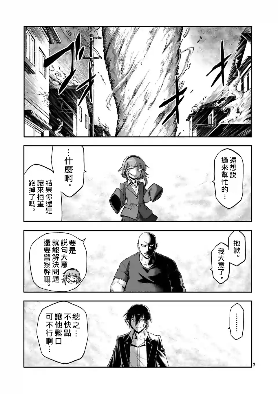 第 3 页