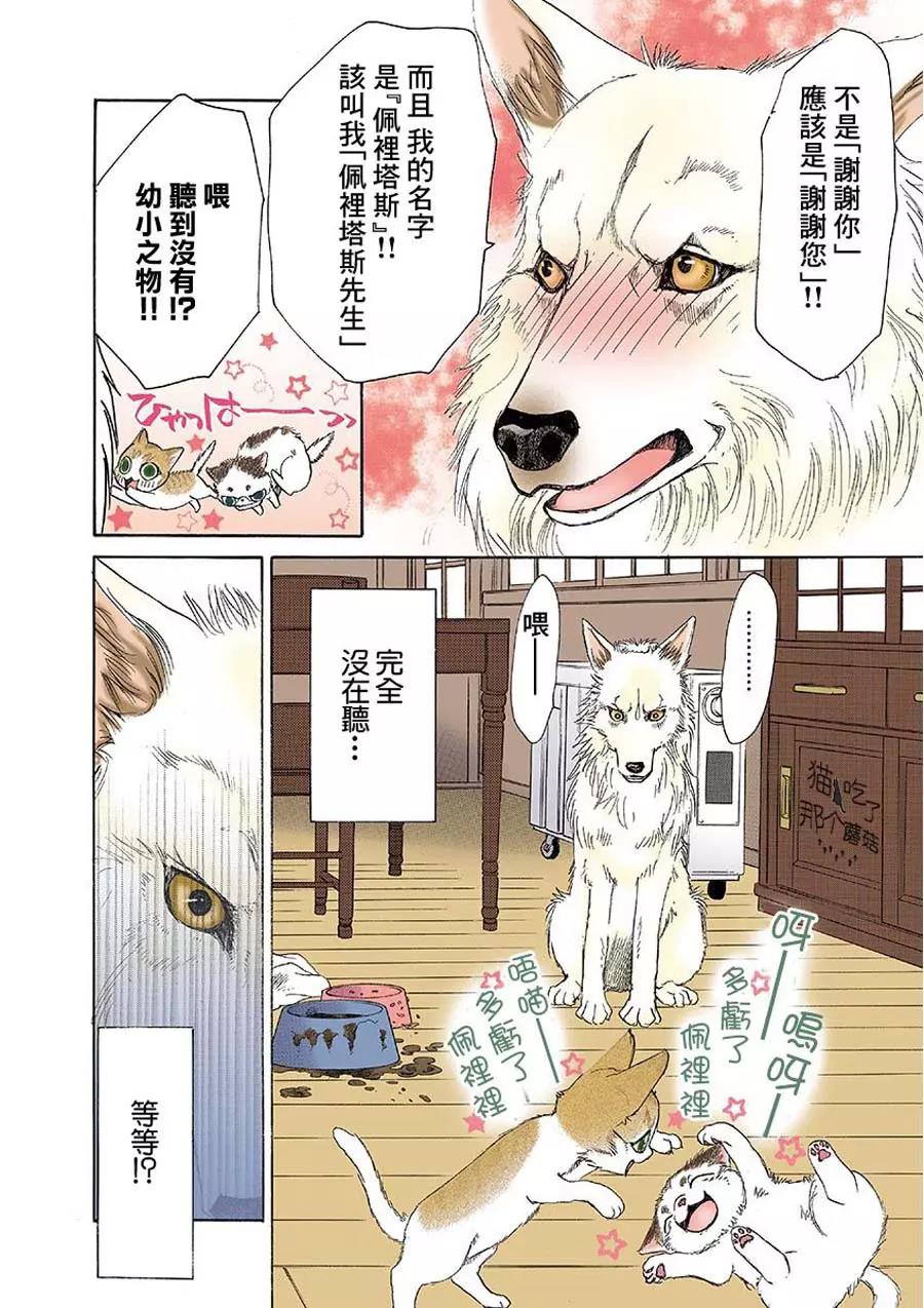 第 4 页
