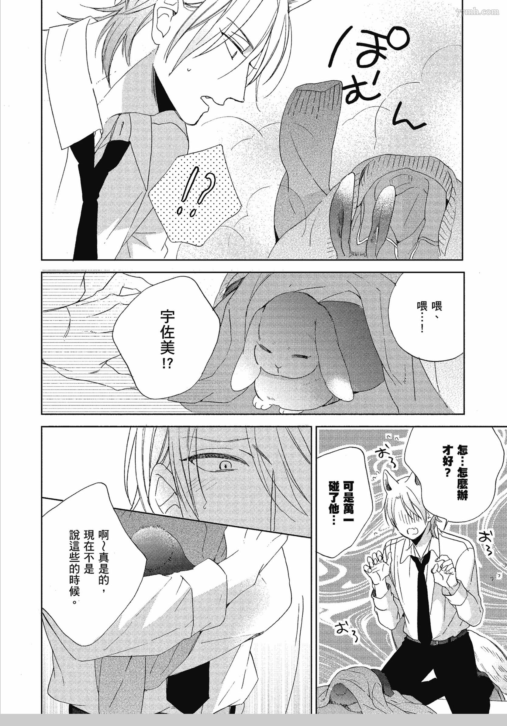 第 31 页