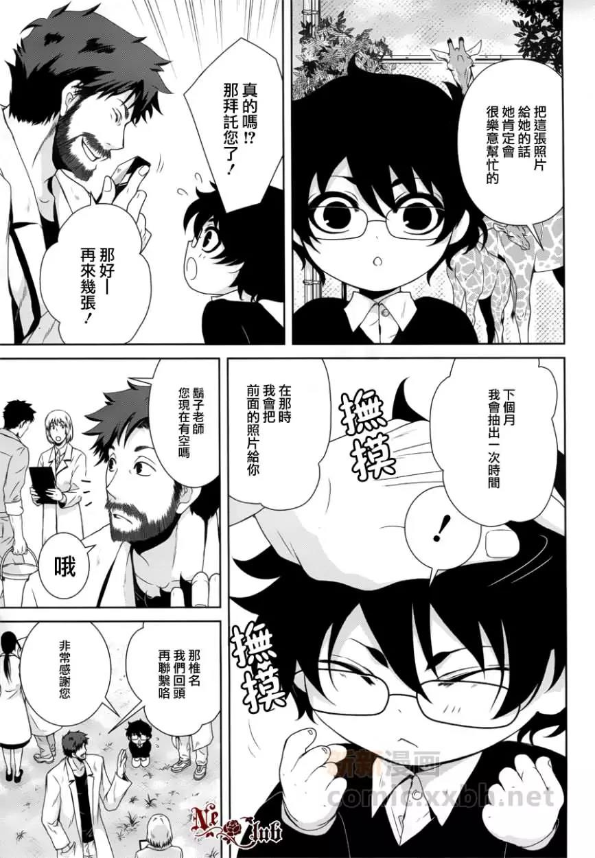 第 17 页