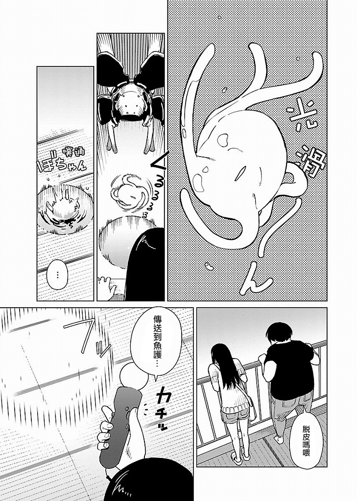第 17 页