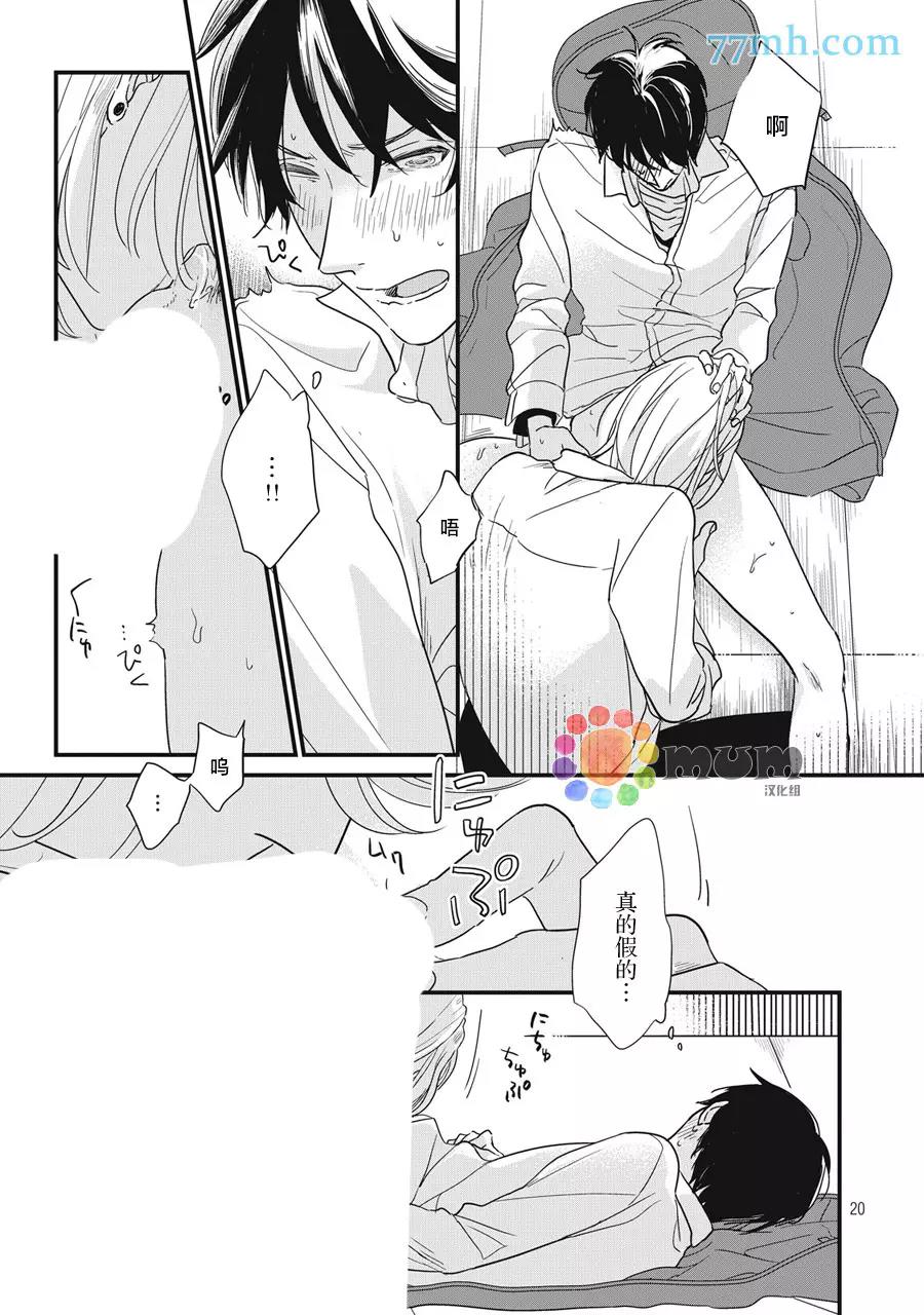 第 20 页