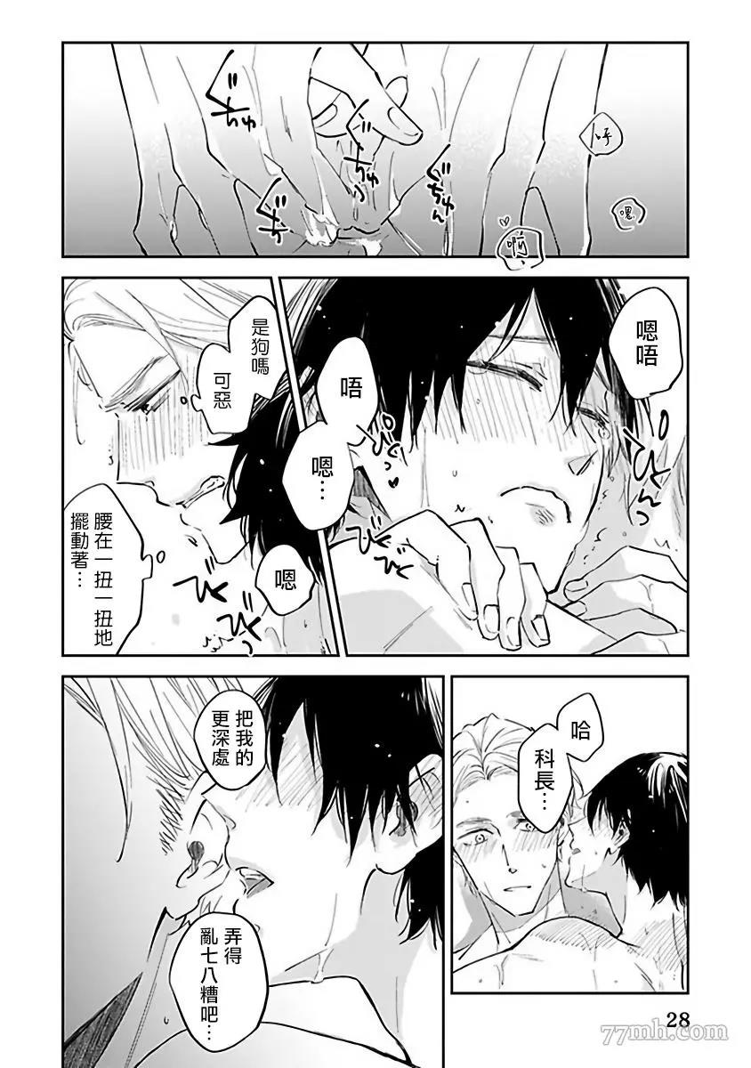 第 30 页