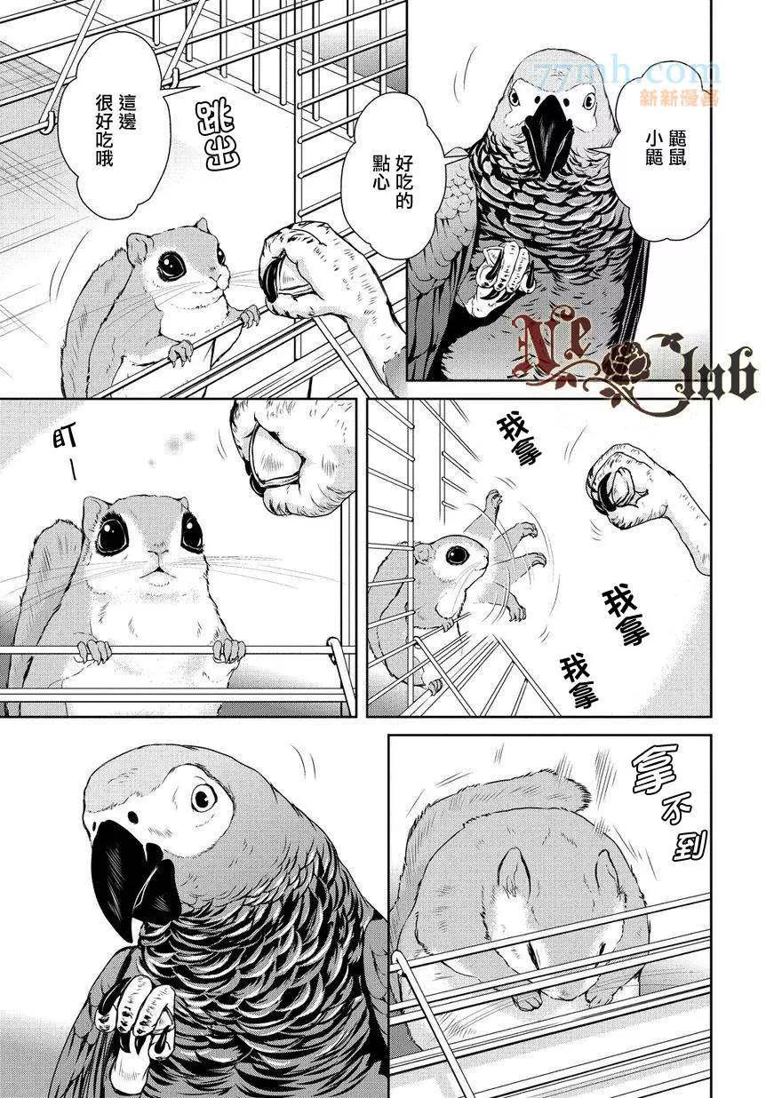 第 13 页