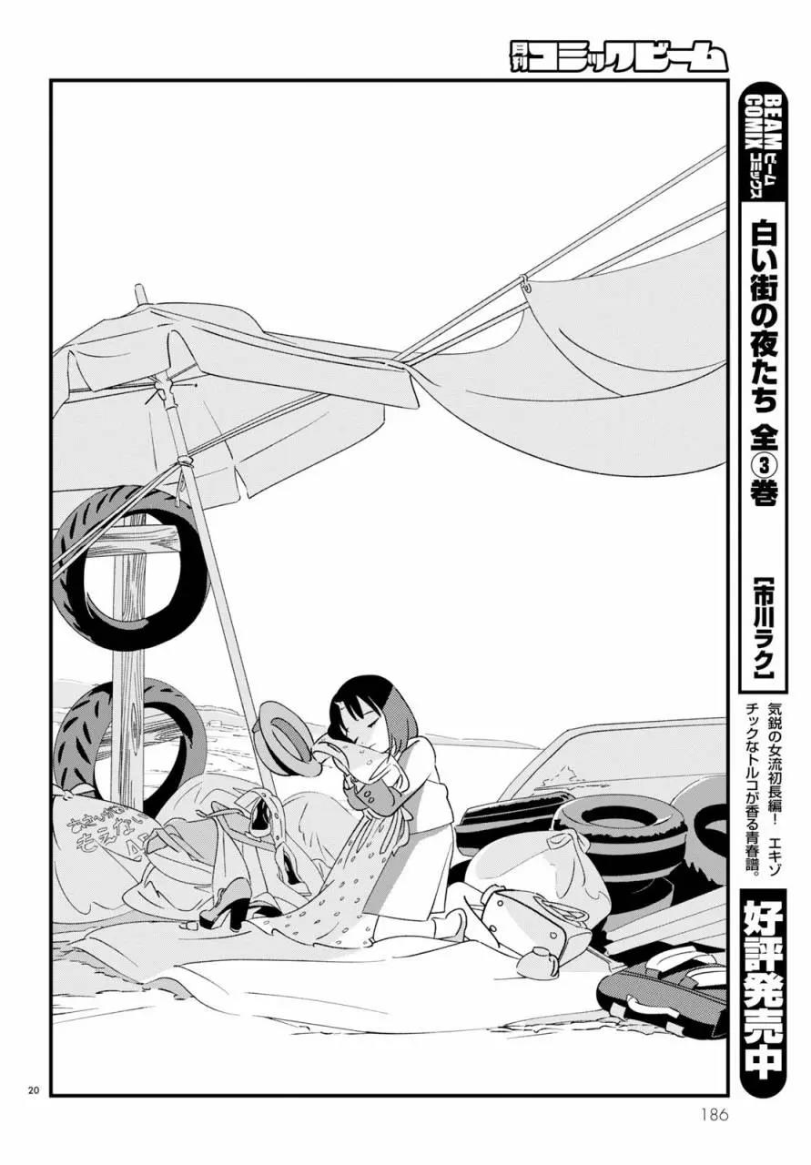 第 20 页
