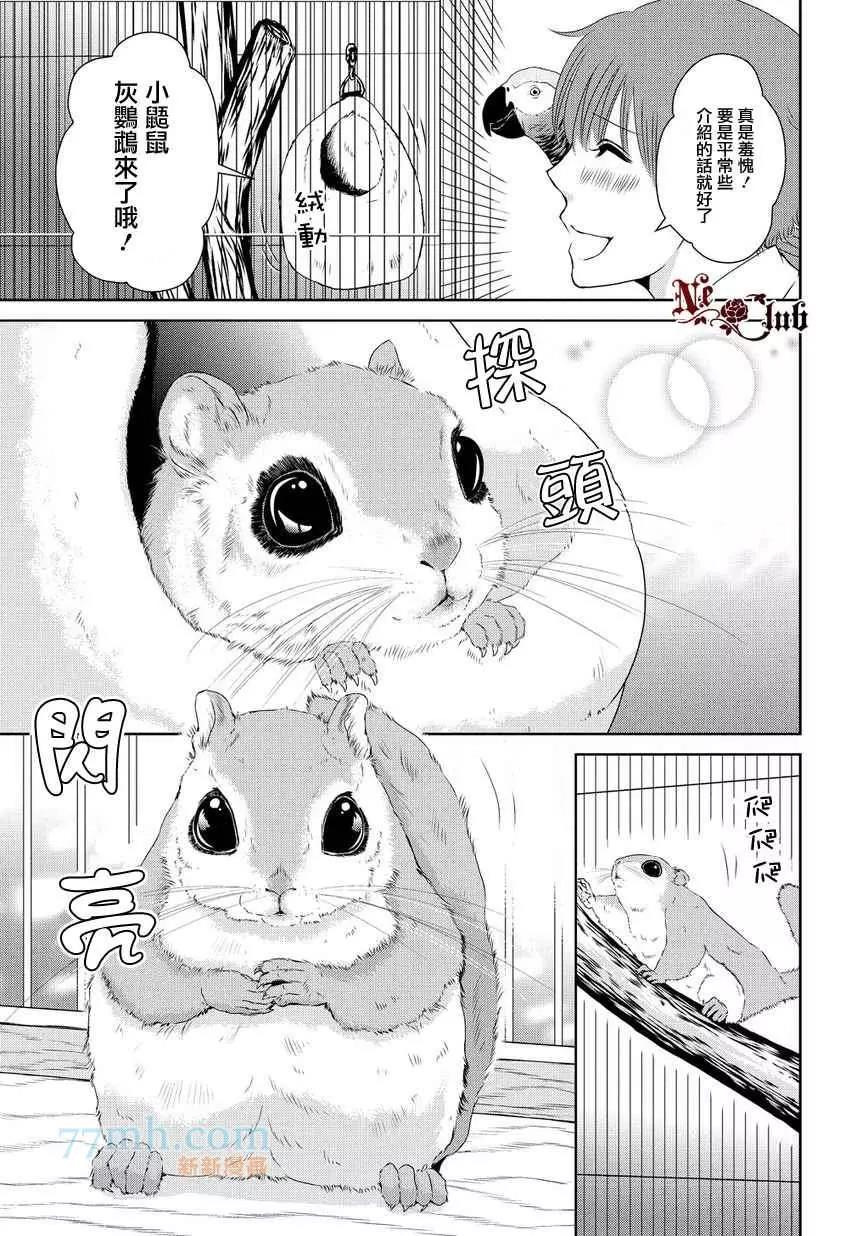 第 17 页