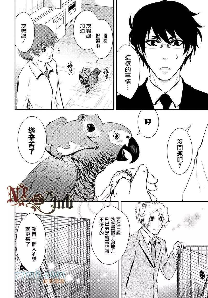 第 20 页