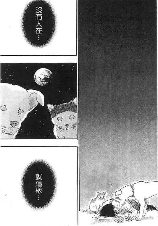 第 117 页