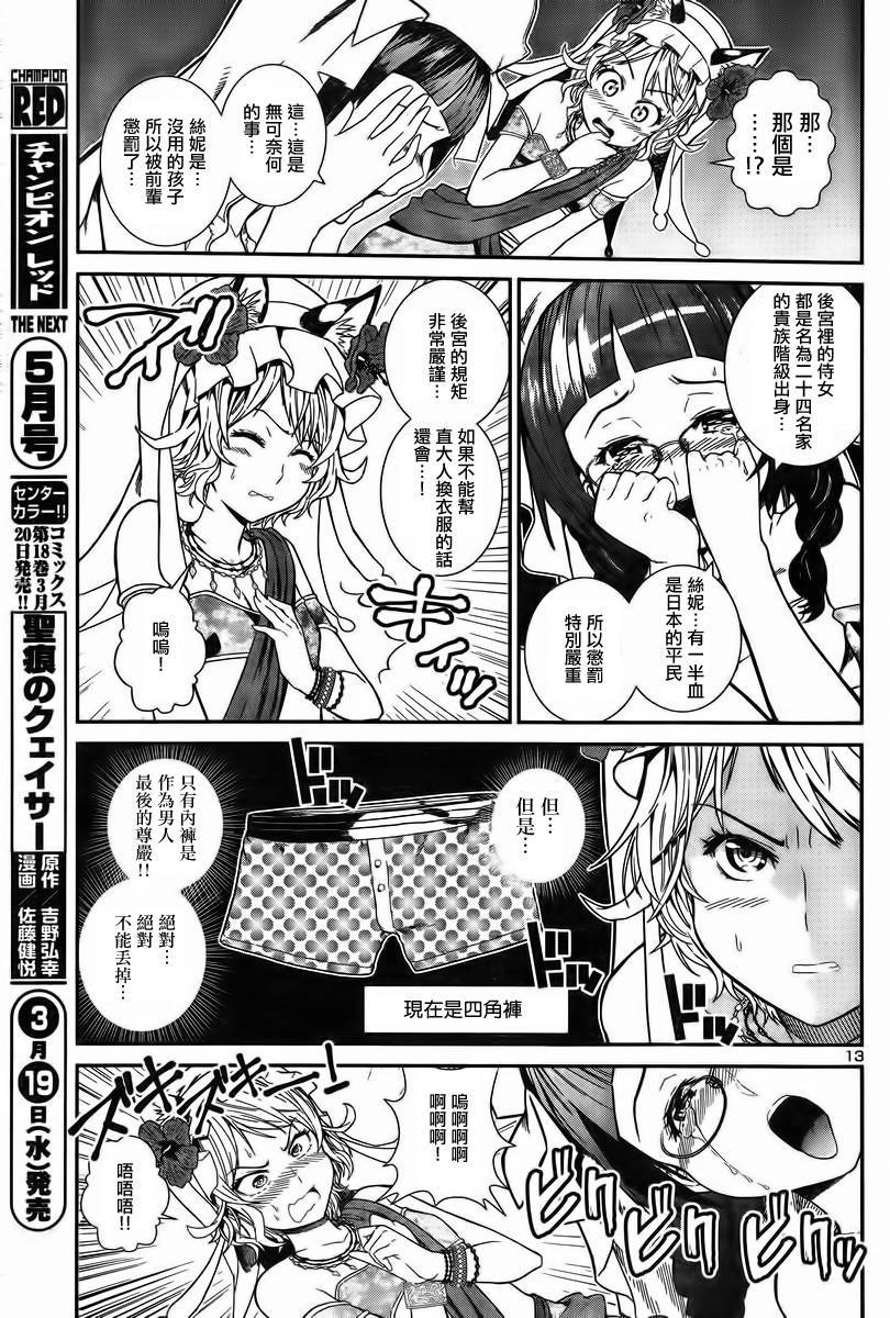 第 13 页