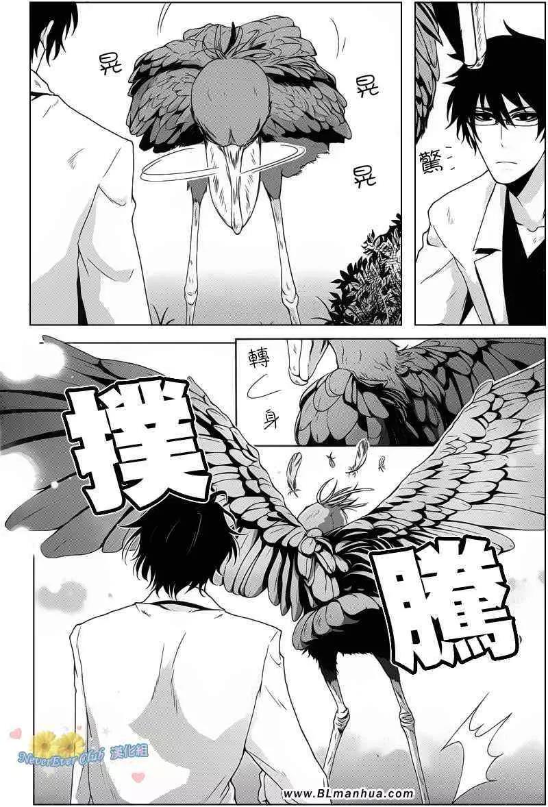 第 41 页