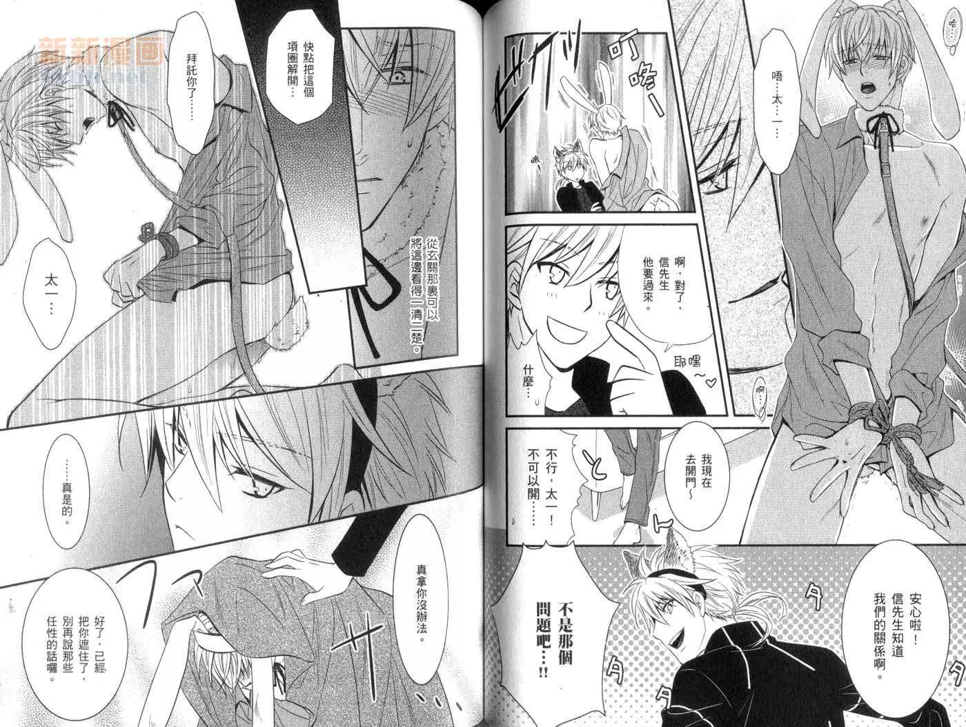 第 61 页