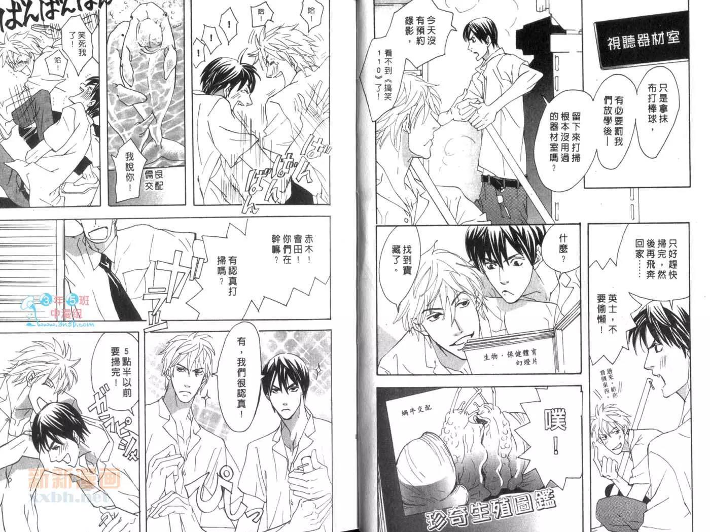 第 8 页