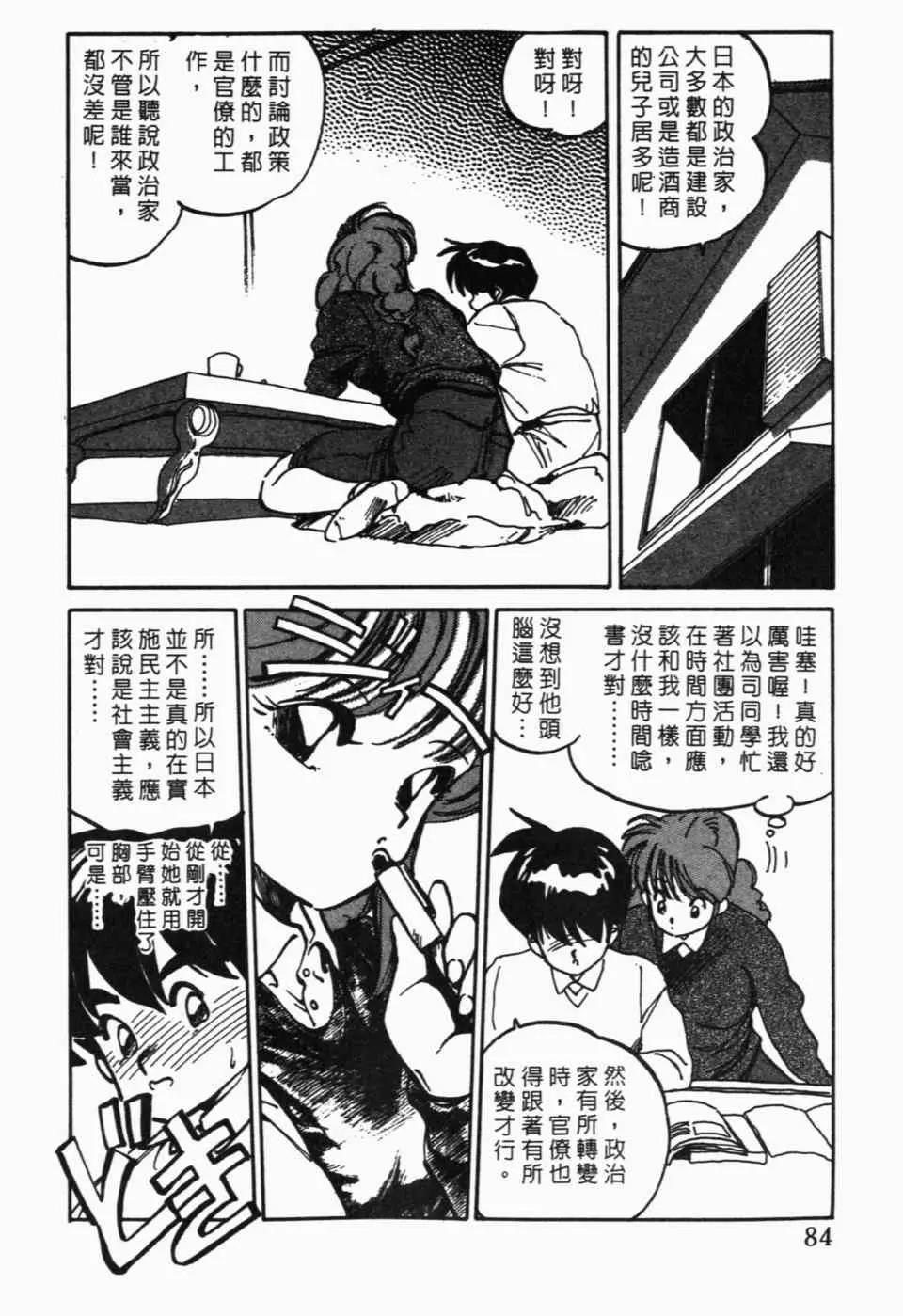 第 86 页