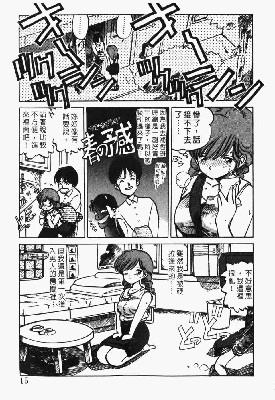 第 17 页