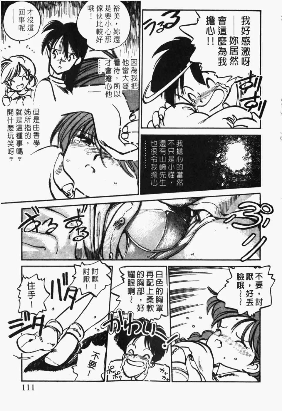 第 113 页