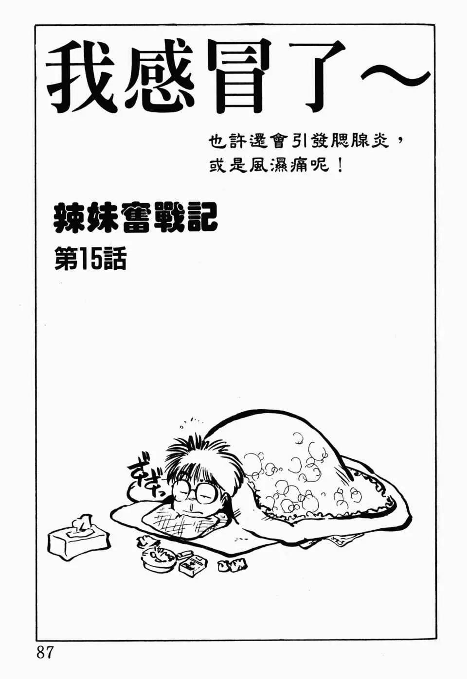 第 91 页