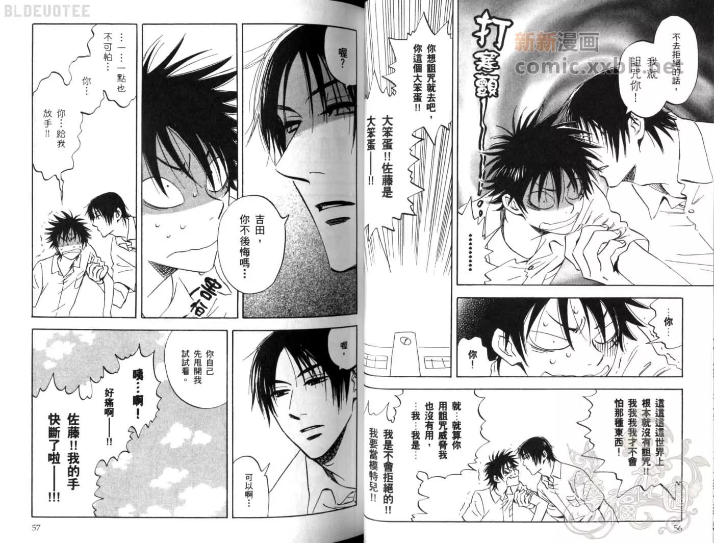 第 31 页