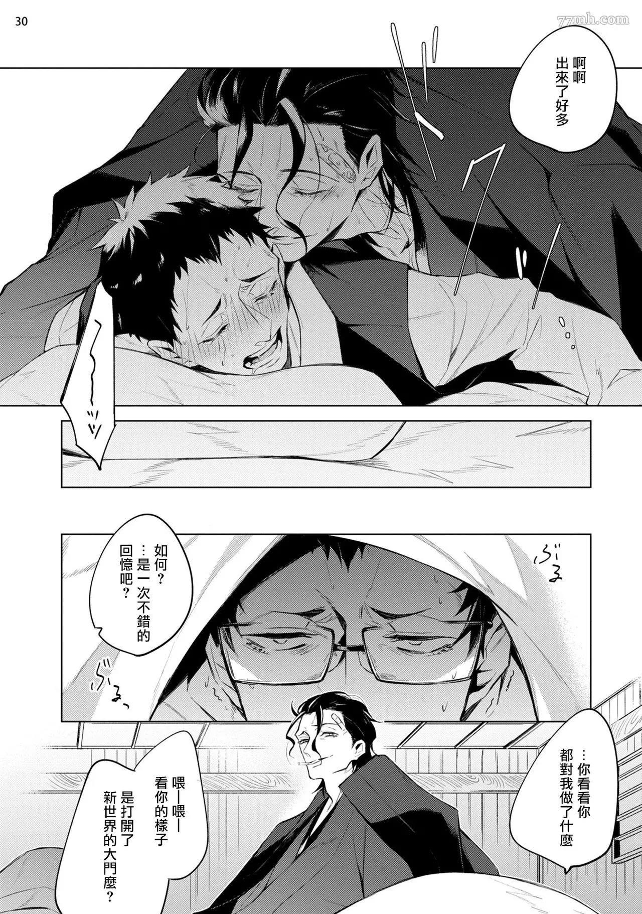 第 31 页