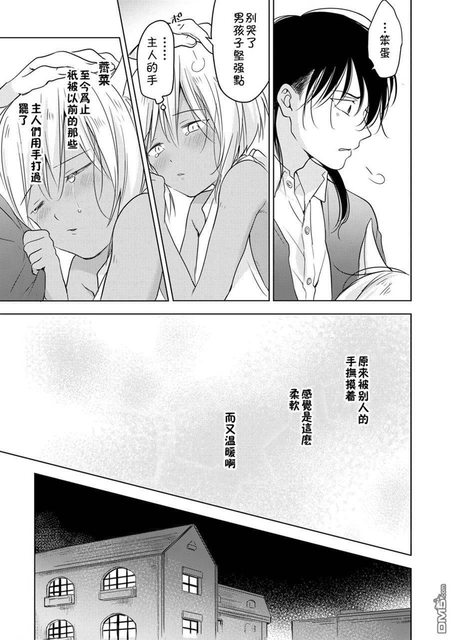 第 51 页