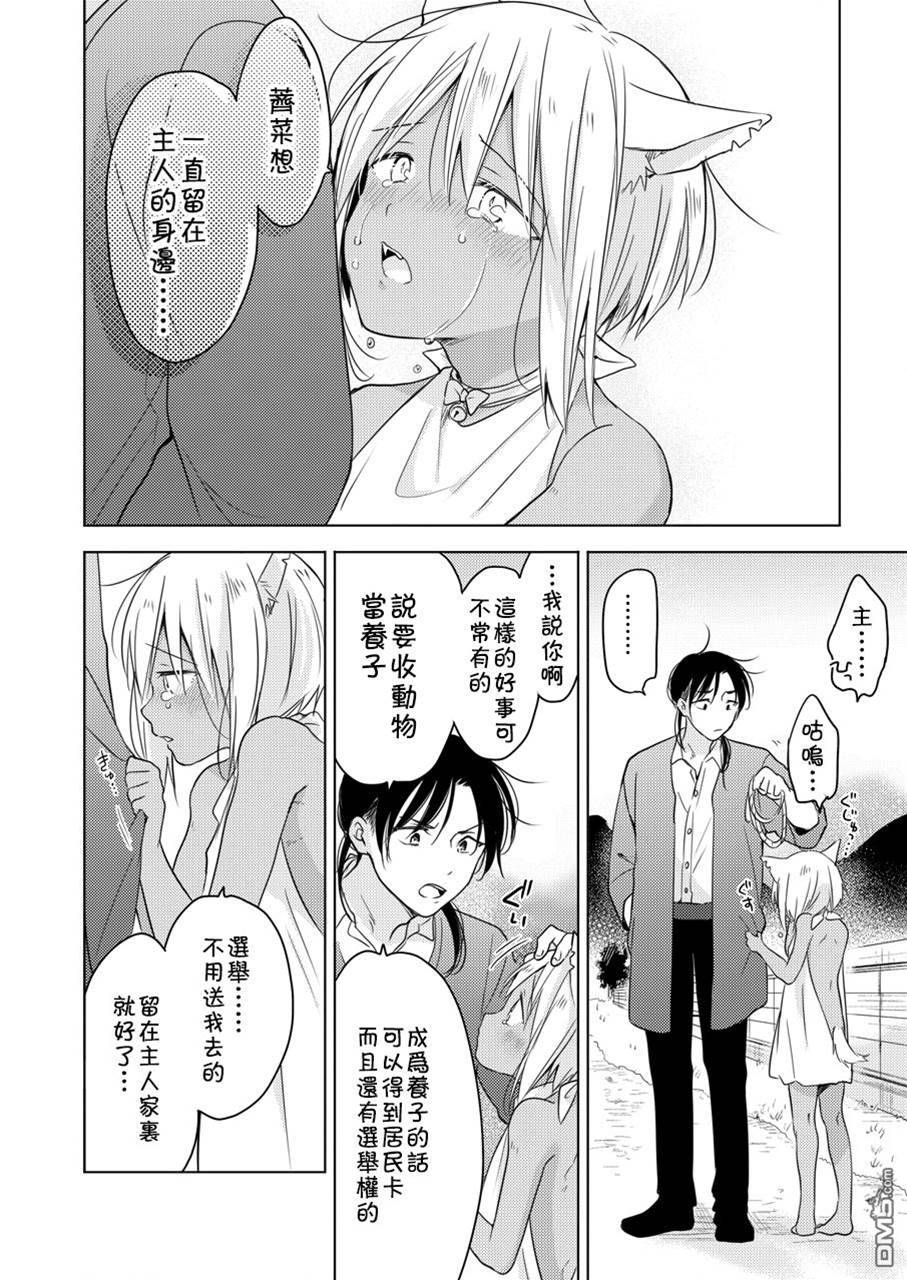 第 50 页