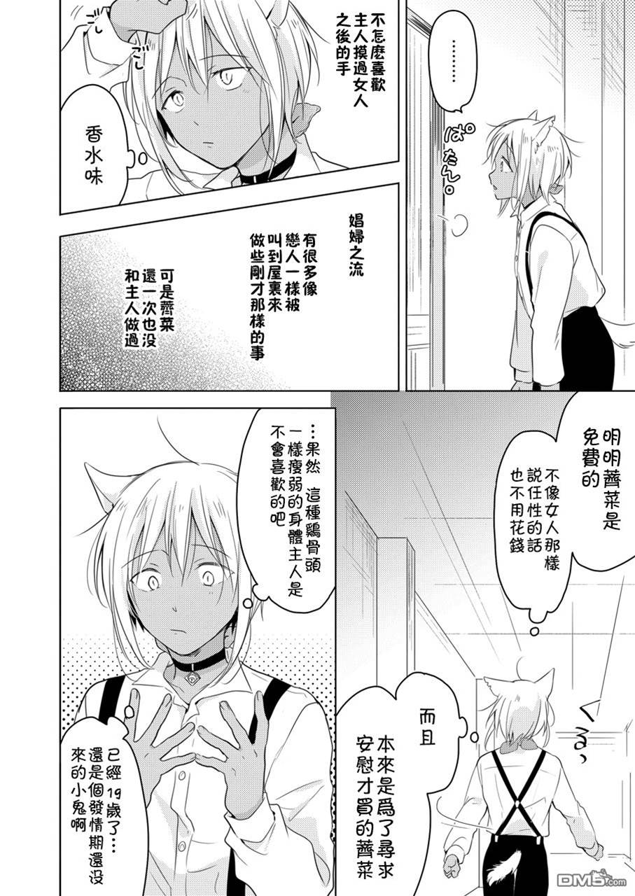第 61 页