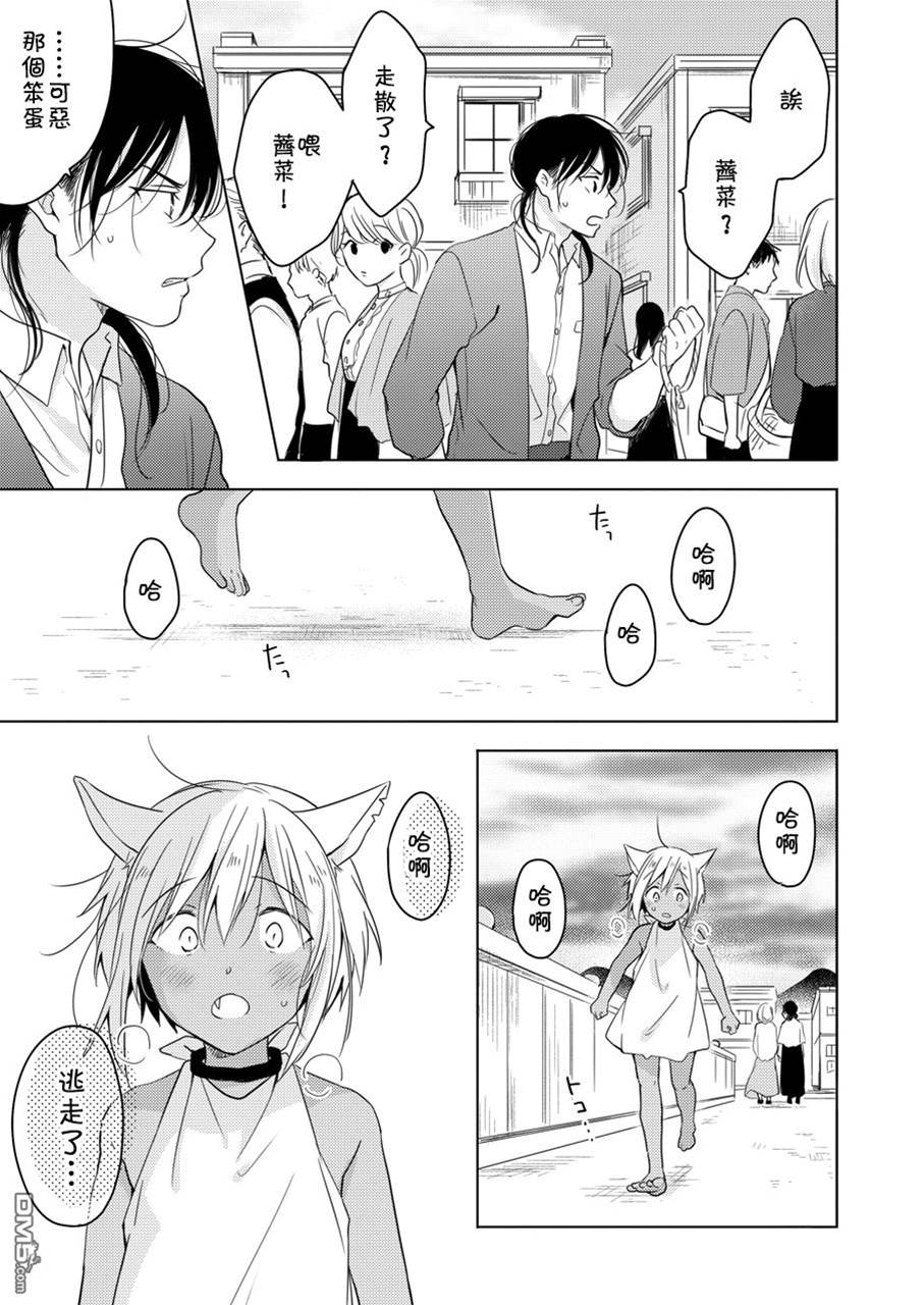 第 37 页