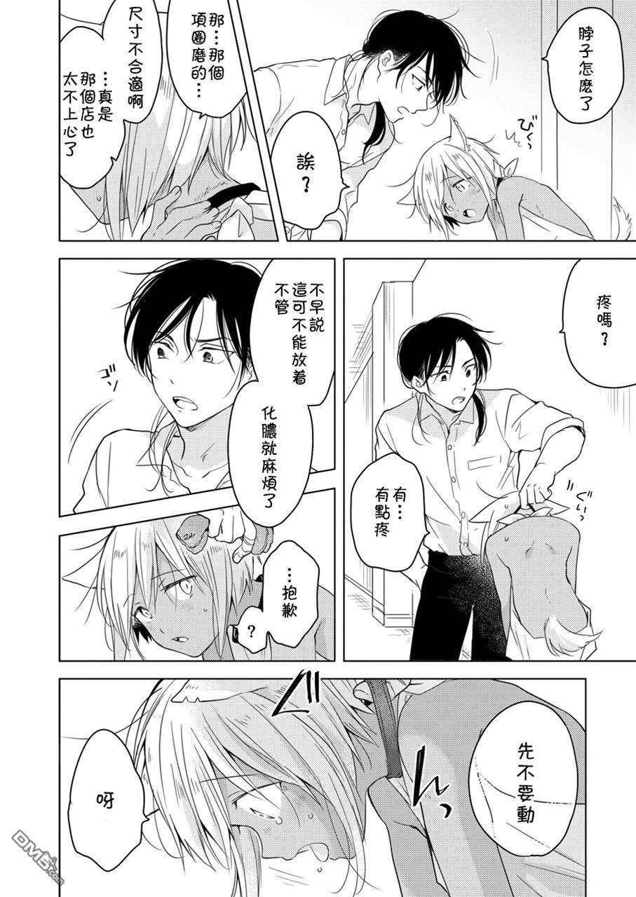 第 20 页