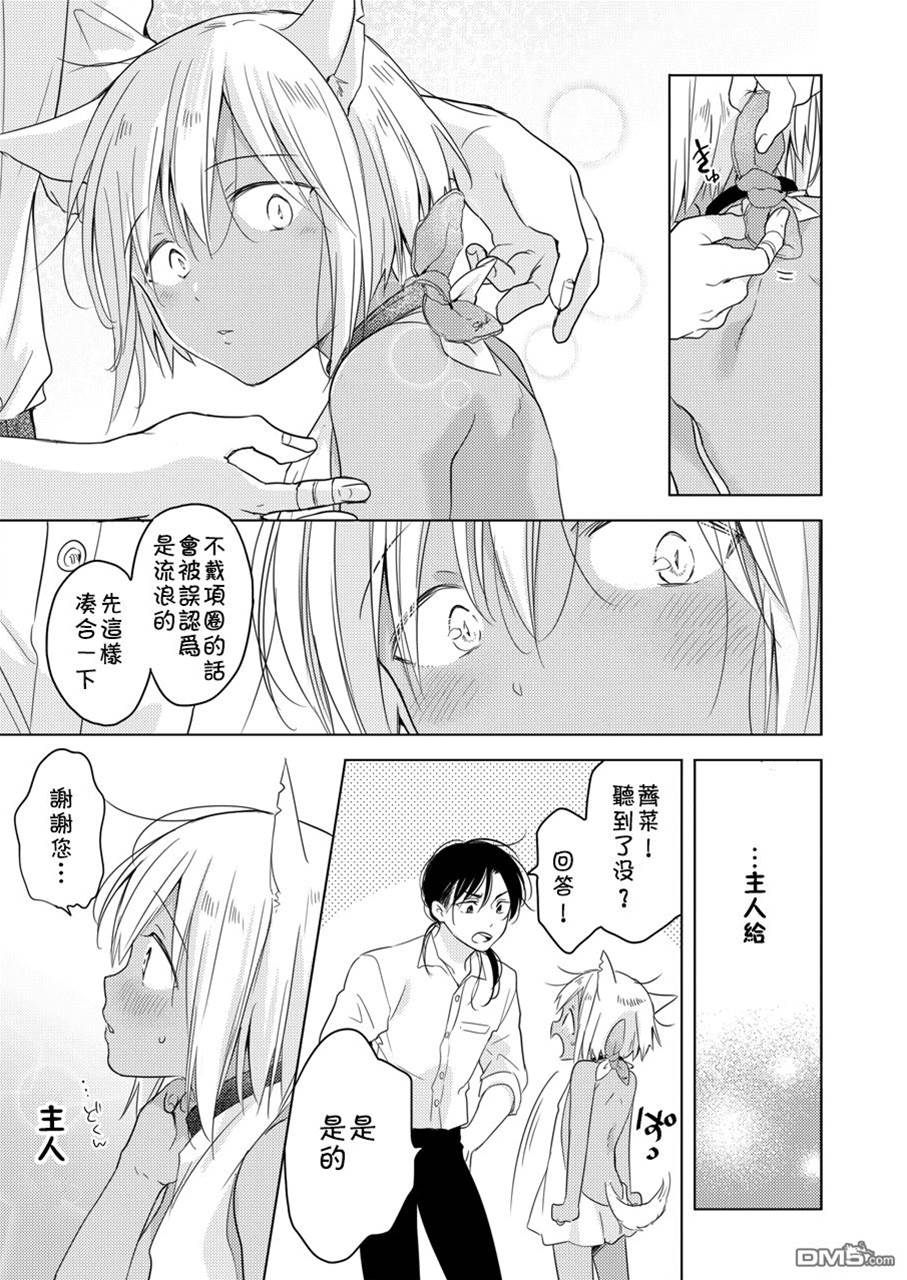第 21 页