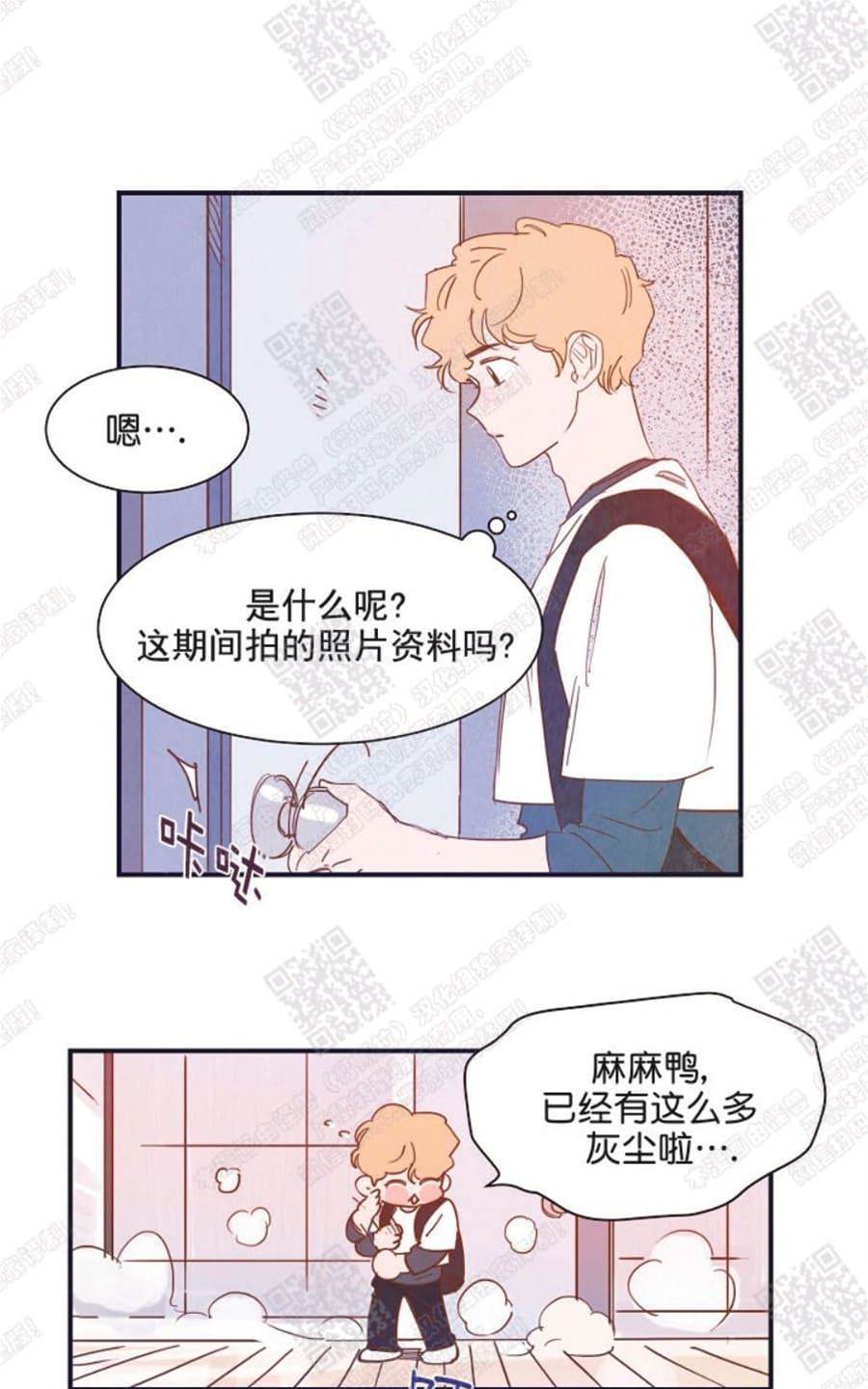 第 43 页