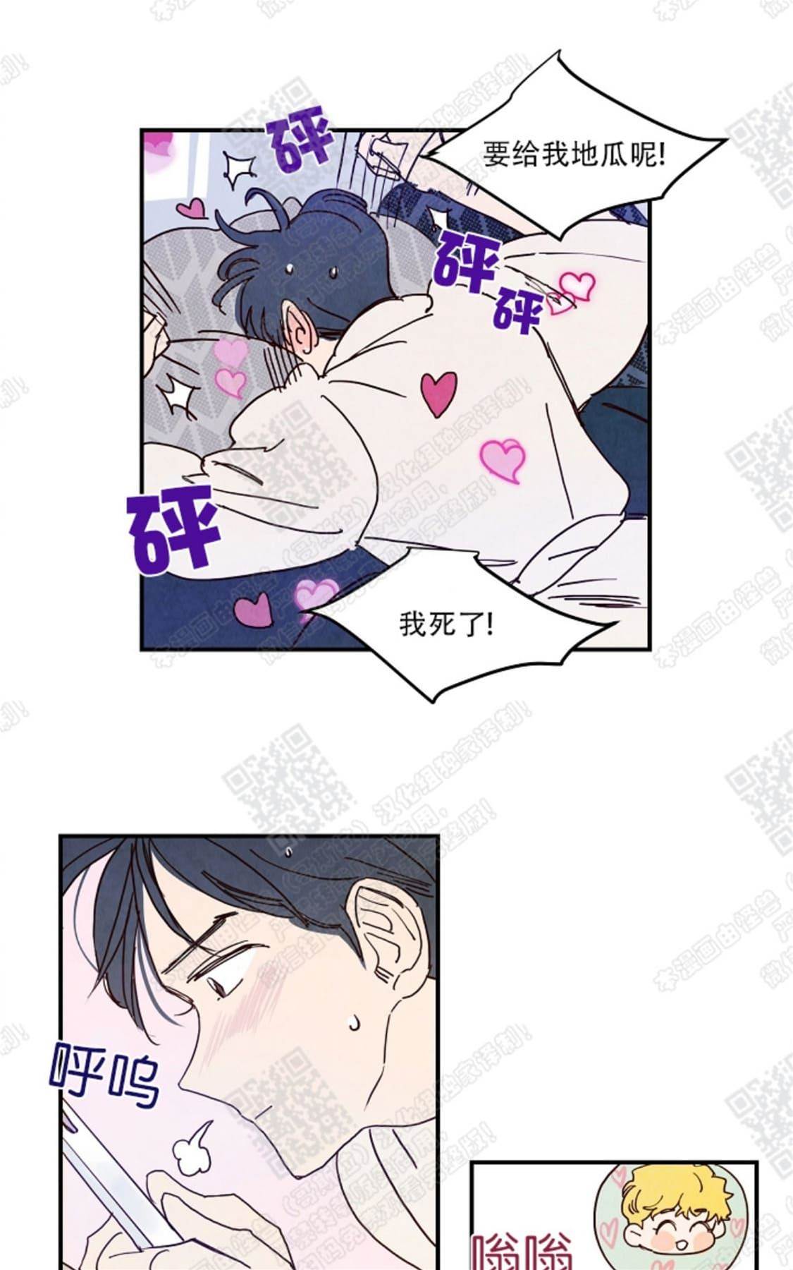 第 43 页
