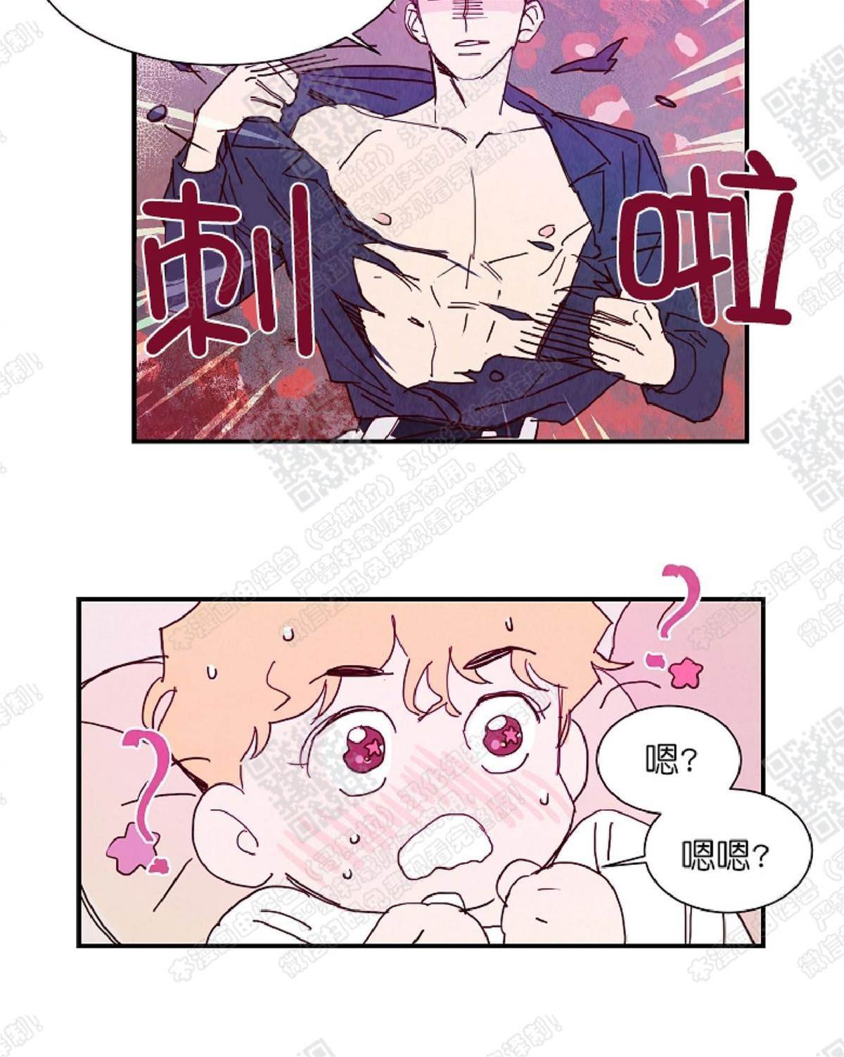 第 41 页