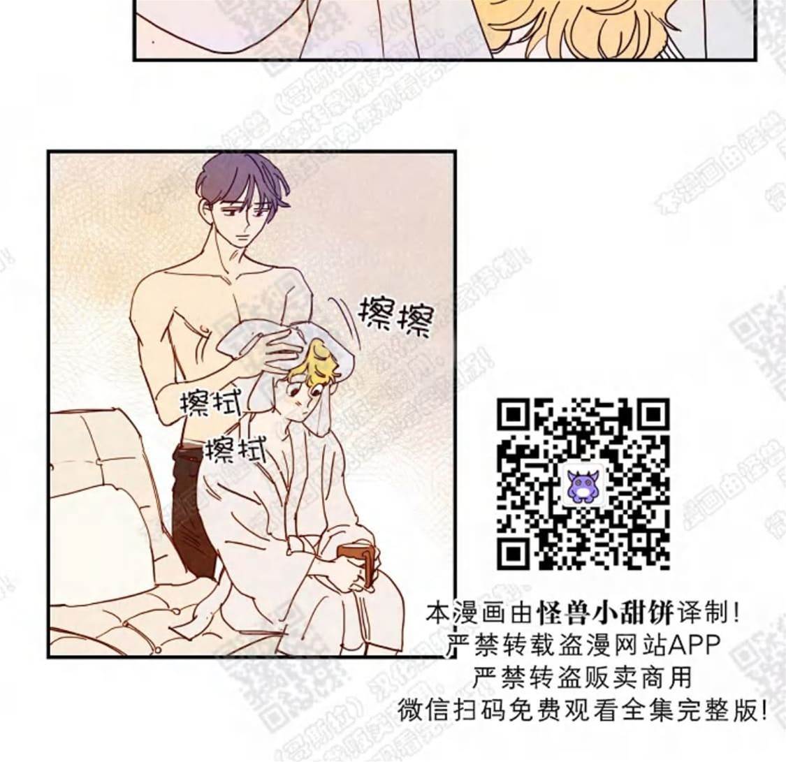 第 41 页