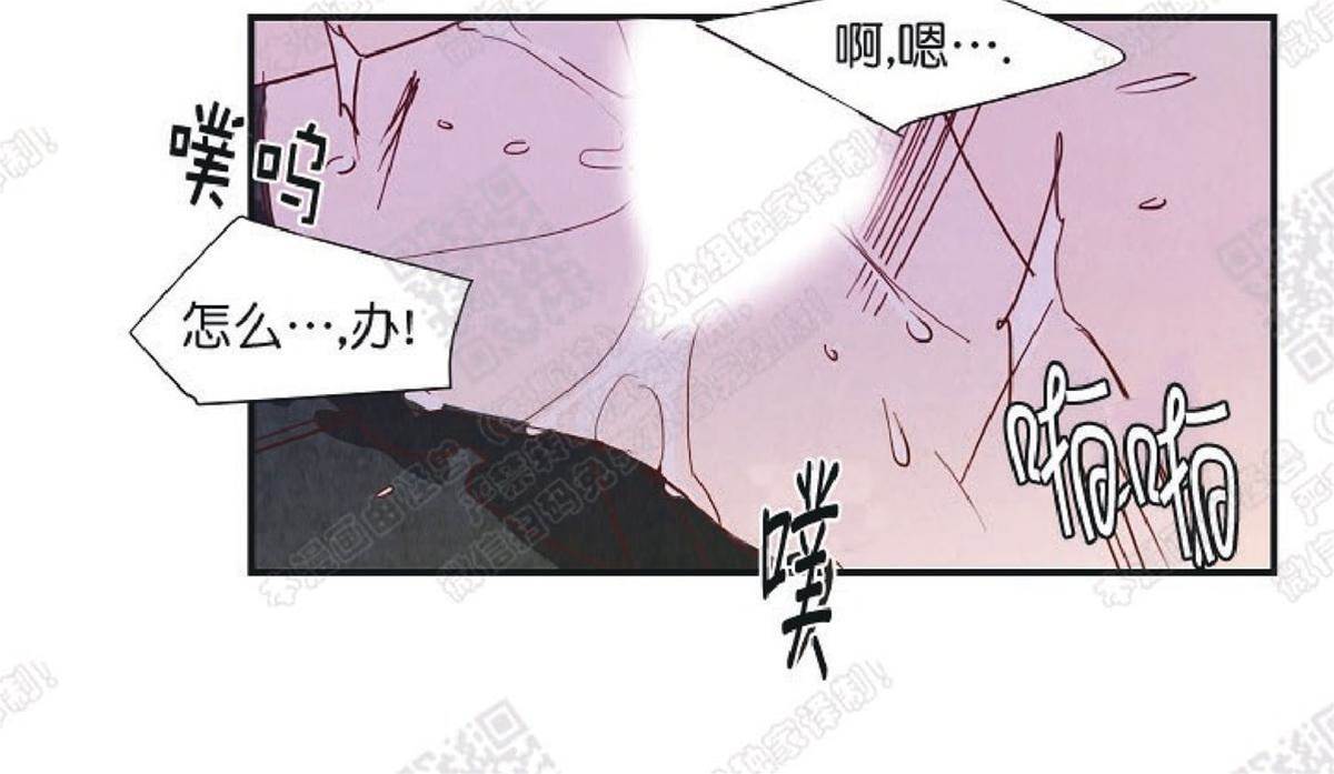 第 53 页