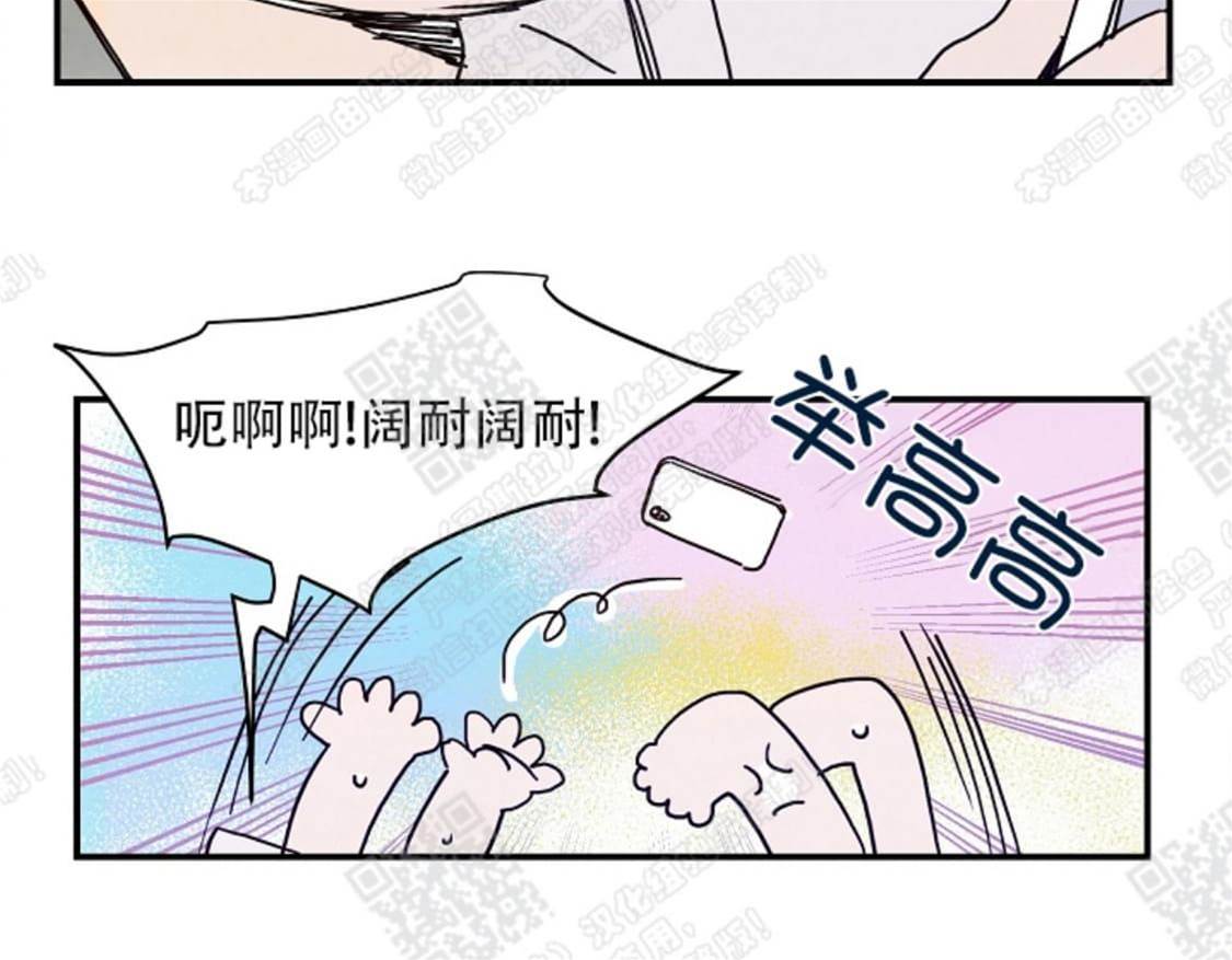 第 42 页