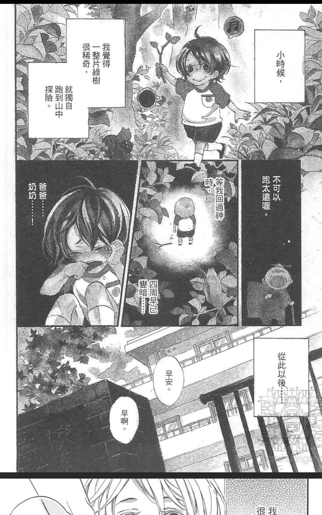 第 41 页