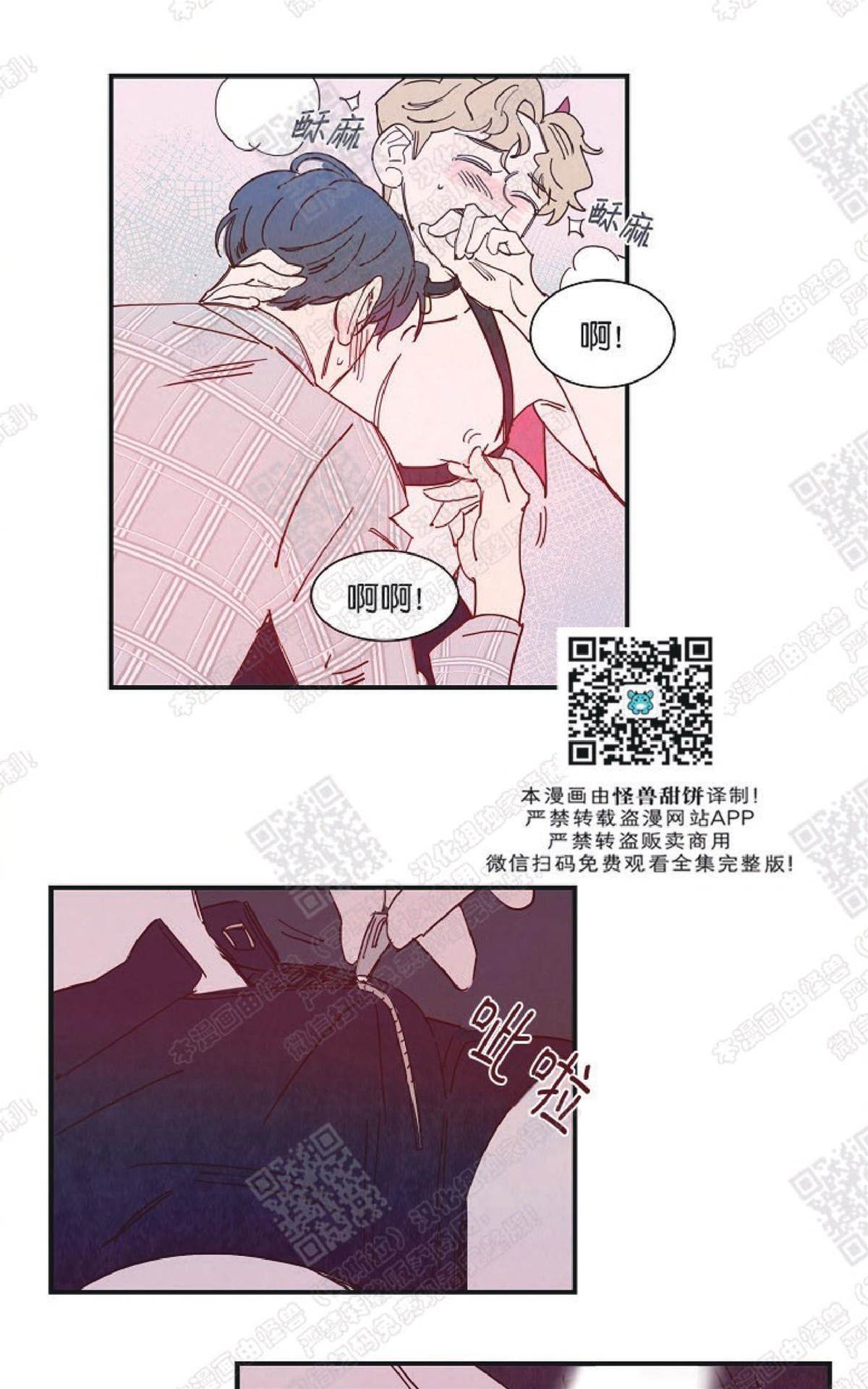 第 36 页