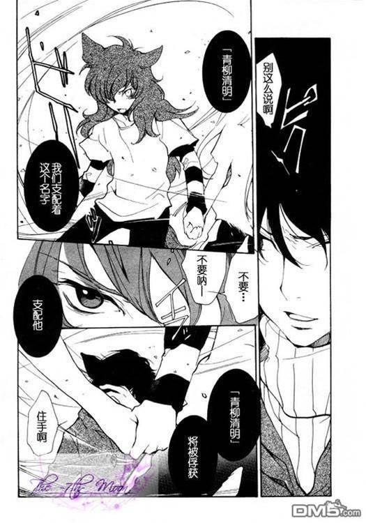第 217 页