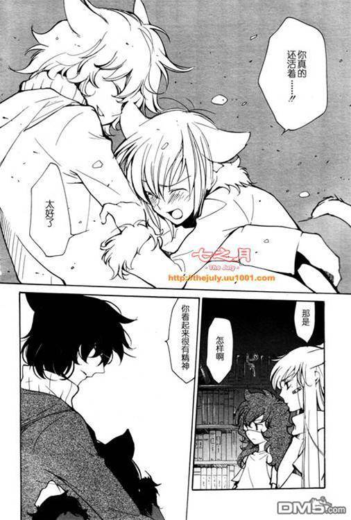 第 223 页