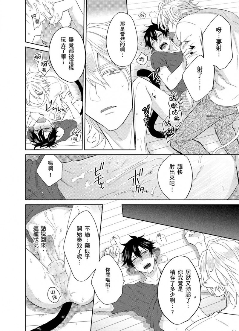 第 27 页