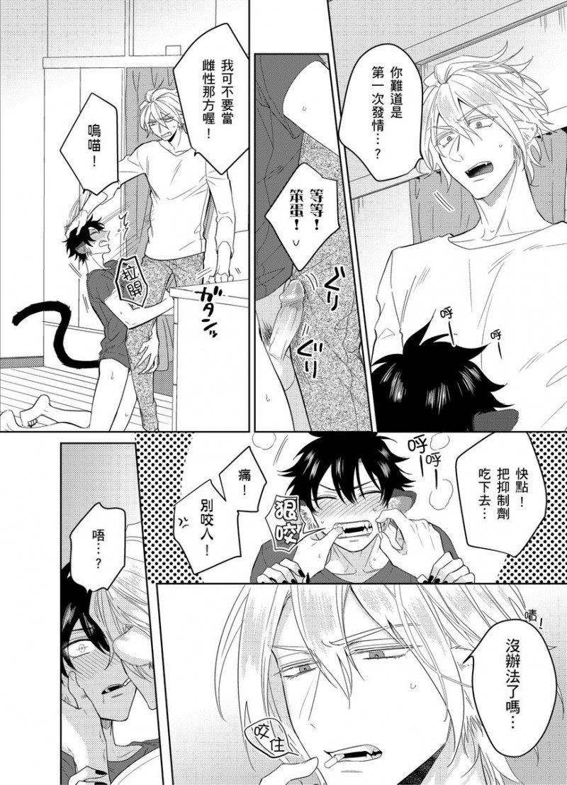 第 25 页