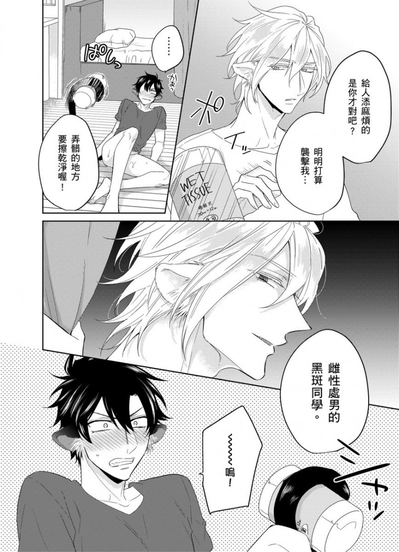 第 31 页