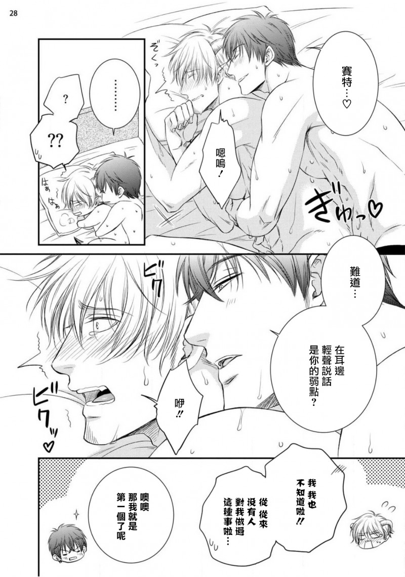 第 30 页