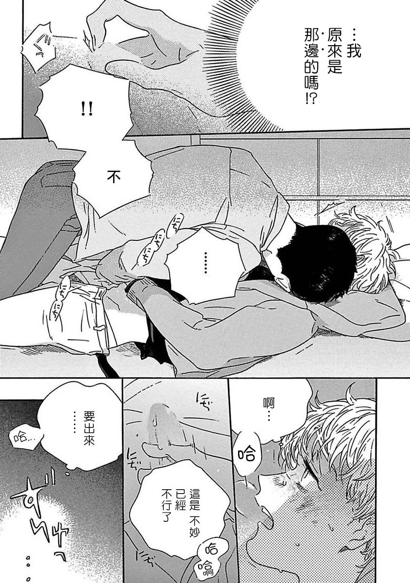 第 31 页