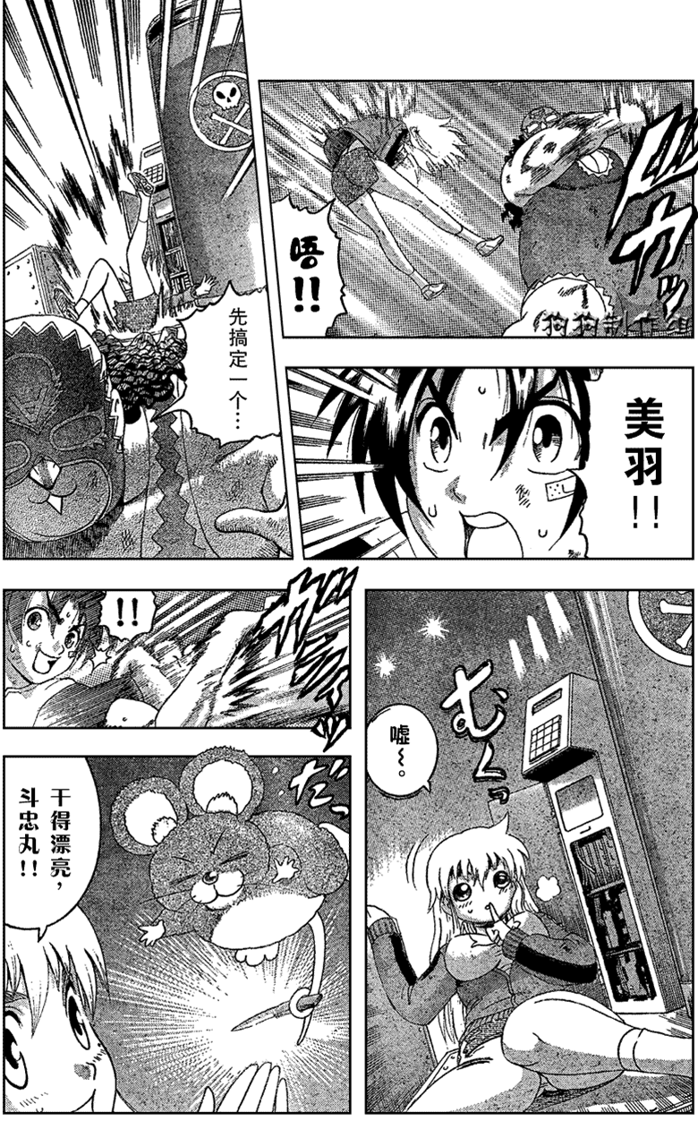 第 4 页