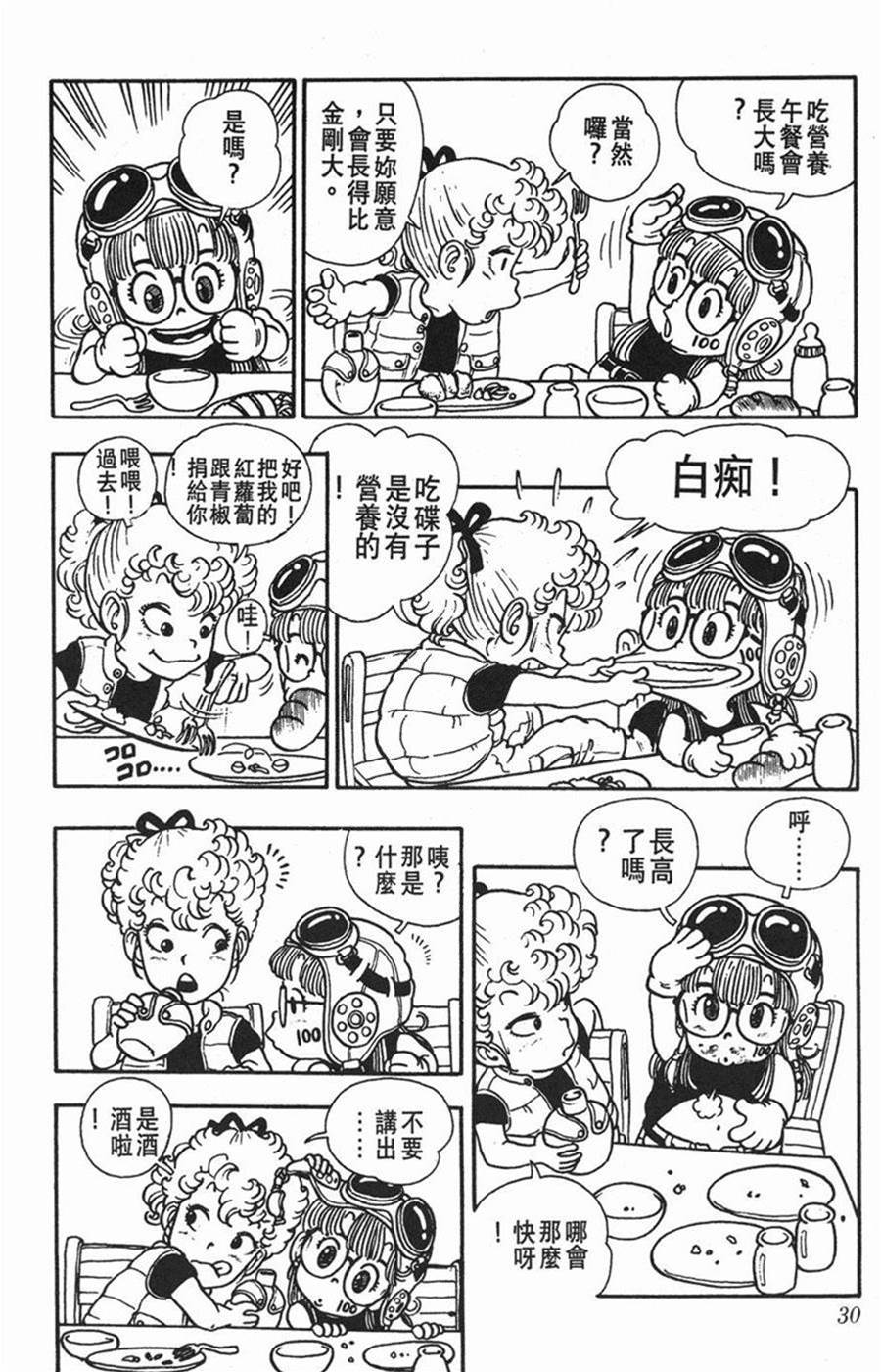 第 30 页